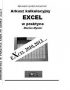 ARKUSZ KALKULACYJNY EXCEL W PRAKTYCE EXCEL 2010 , 2013